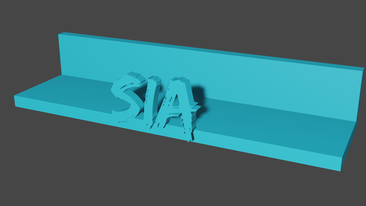 Custom Shelf CD / Vinyl Holder